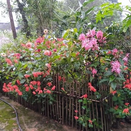Meikha Homestay Pynursla Exterior foto